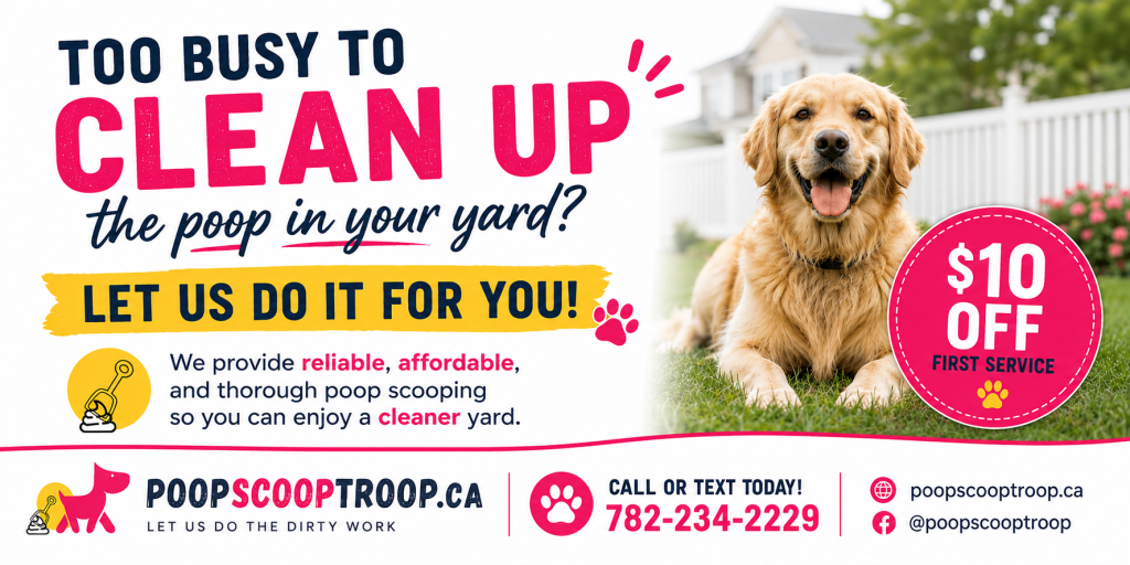 Too busy to clean up dog poop? Let us do it for you. $10 off your first service
